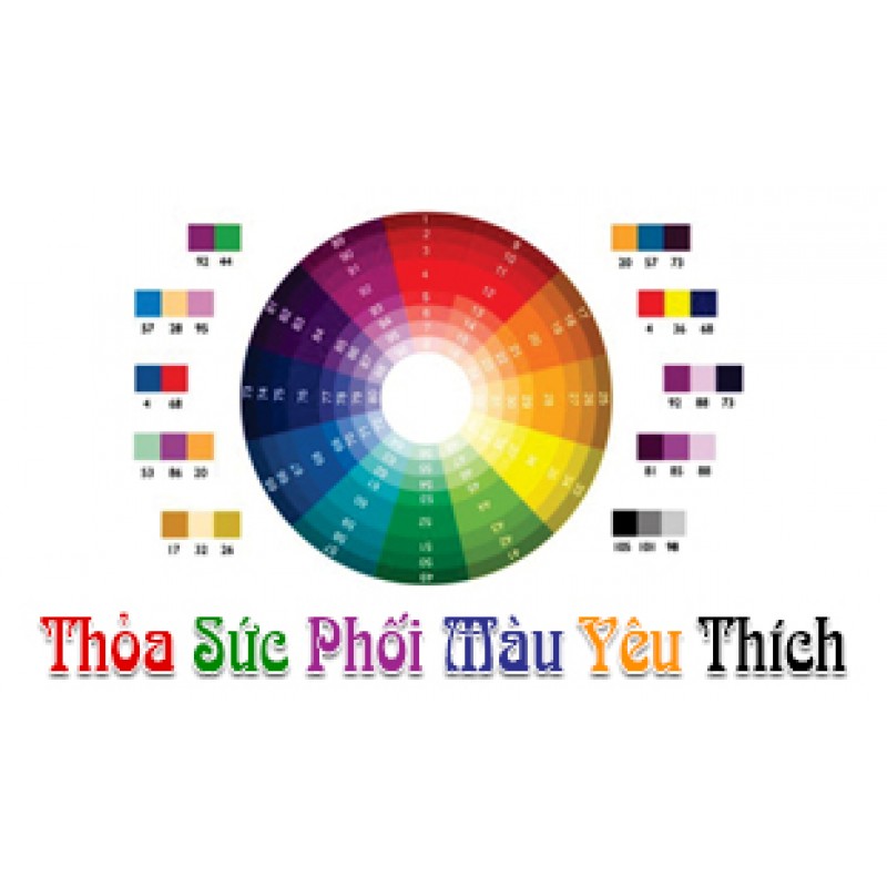 PHẦN MỀM PHỐI MÀU BÁCH HÓA SƠN